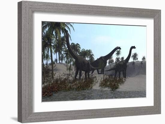 Three Brachiosaurus Dinosaurs Grazing-null-Framed Art Print