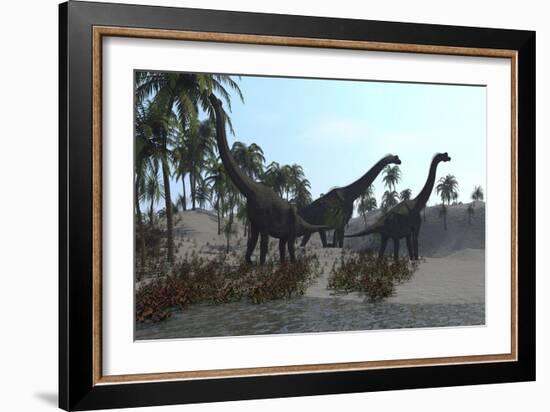 Three Brachiosaurus Dinosaurs Grazing-null-Framed Art Print