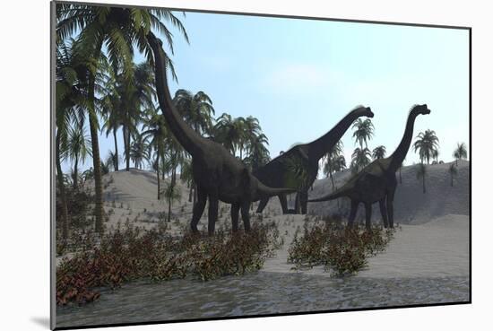 Three Brachiosaurus Dinosaurs Grazing-null-Mounted Art Print