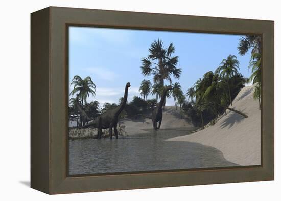 Three Brachiosaurus Dinosaurs Grazing-null-Framed Stretched Canvas