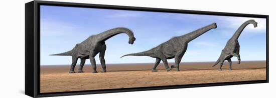 Three Brachiosaurus Dinosaurs Standing in the Desert-null-Framed Stretched Canvas