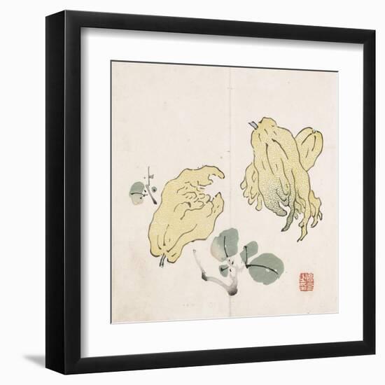 Three Buddha's Hand Fruits-Gao You-Framed Art Print