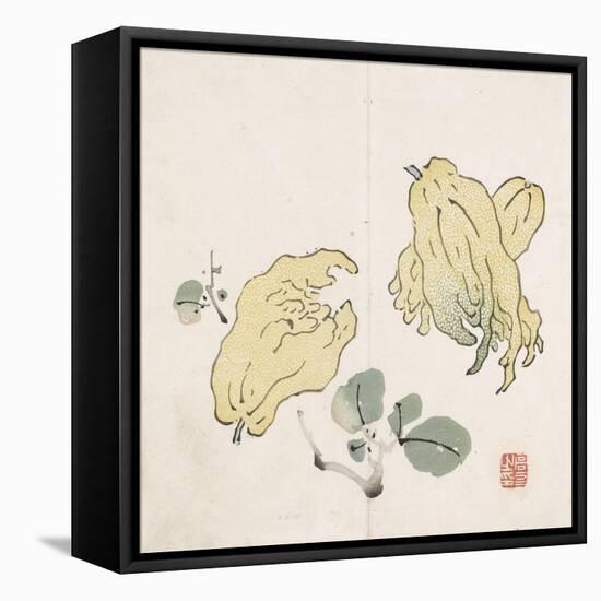 Three Buddha's Hand Fruits-Gao You-Framed Stretched Canvas