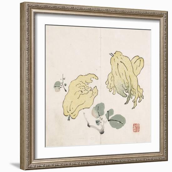 Three Buddha's Hand Fruits-Gao You-Framed Premium Giclee Print