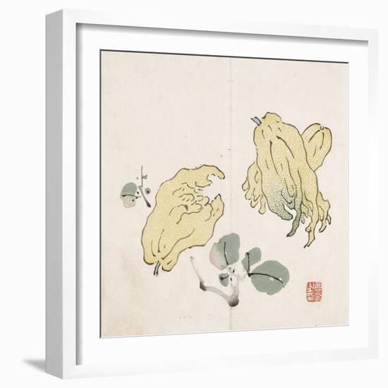 Three Buddha's Hand Fruits-Gao You-Framed Premium Giclee Print