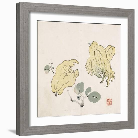 Three Buddha's Hand Fruits-Gao You-Framed Art Print