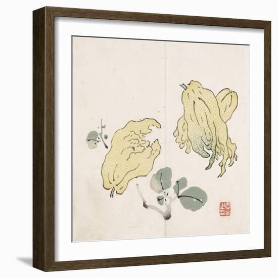 Three Buddha's Hand Fruits-Gao You-Framed Art Print