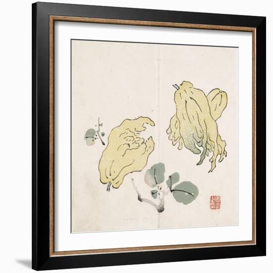 Three Buddha's Hand Fruits-Gao You-Framed Art Print