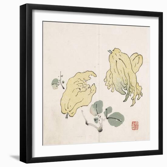 Three Buddha's Hand Fruits-Gao You-Framed Art Print