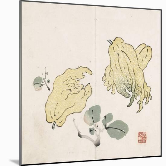 Three Buddha's Hand Fruits-Gao You-Mounted Art Print