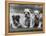 Three Bulldog Puppies Owned by Monkland-Thomas Fall-Framed Premier Image Canvas