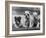 Three Bulldog Puppies Owned by Monkland-Thomas Fall-Framed Photographic Print