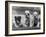 Three Bulldog Puppies Owned by Monkland-Thomas Fall-Framed Photographic Print