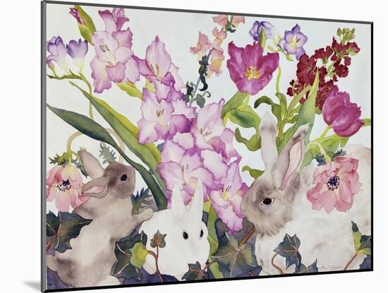 Three Bunnies-Carissa Luminess-Mounted Giclee Print