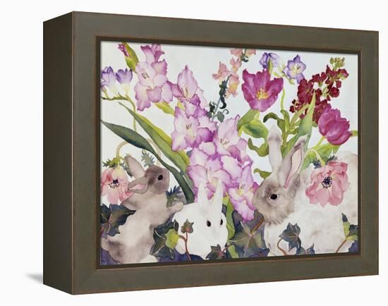 Three Bunnies-Carissa Luminess-Framed Premier Image Canvas