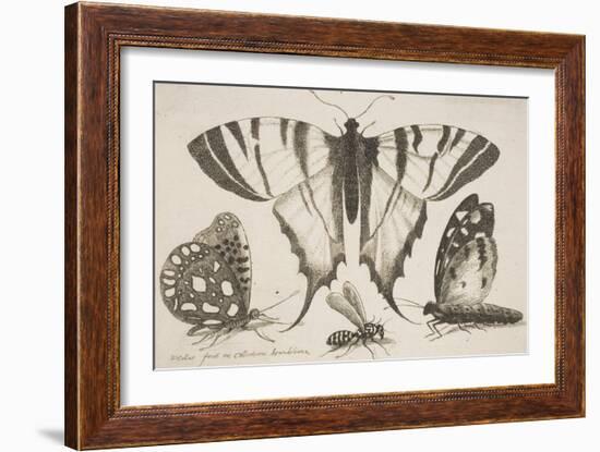 Three Butterflies and a Wasp-Wenceslaus Hollar-Framed Giclee Print