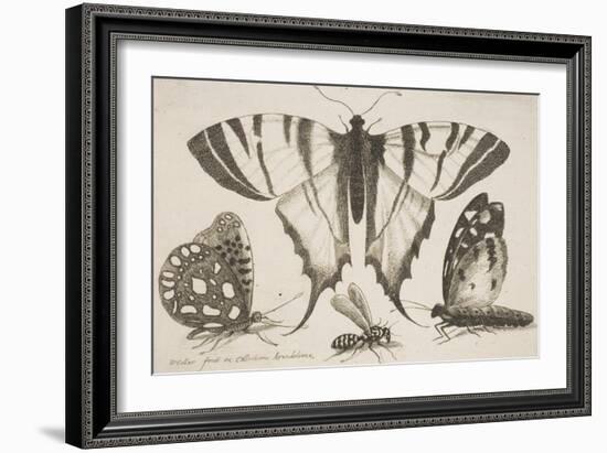 Three Butterflies and a Wasp-Wenceslaus Hollar-Framed Giclee Print