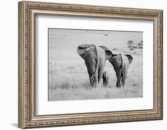 Three Butts!-Ali Khataw-Framed Photographic Print