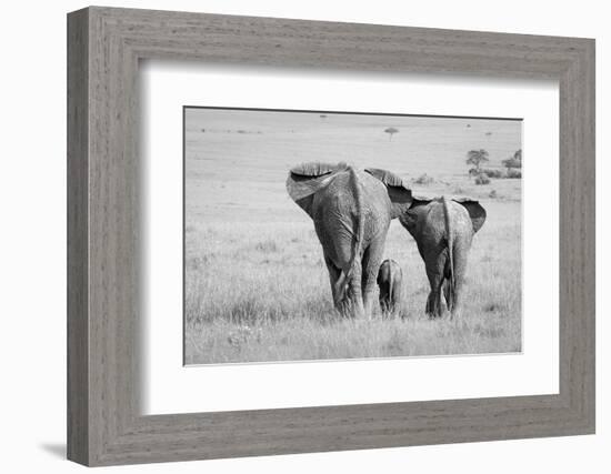 Three Butts!-Ali Khataw-Framed Photographic Print