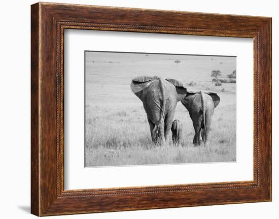 Three Butts!-Ali Khataw-Framed Photographic Print