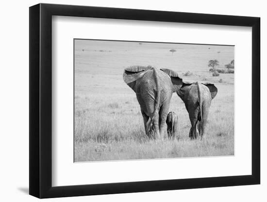 Three Butts!-Ali Khataw-Framed Photographic Print