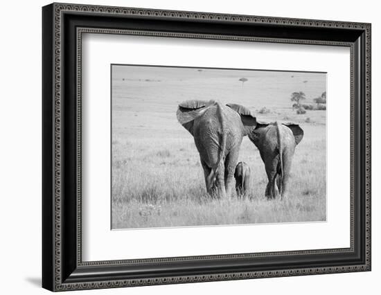 Three Butts!-Ali Khataw-Framed Photographic Print