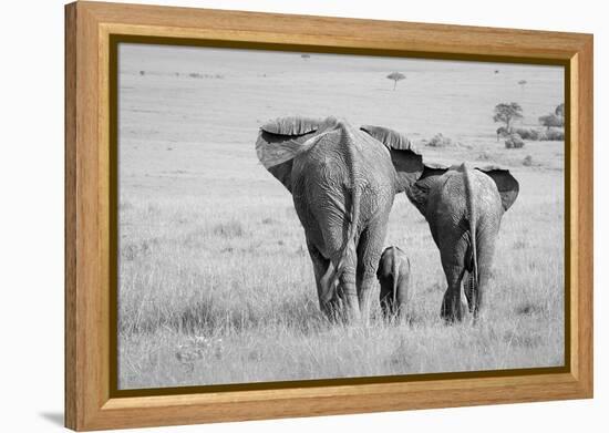 Three Butts!-Ali Khataw-Framed Premier Image Canvas