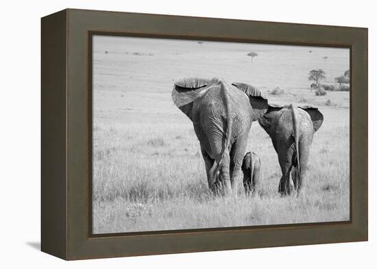 Three Butts!-Ali Khataw-Framed Premier Image Canvas