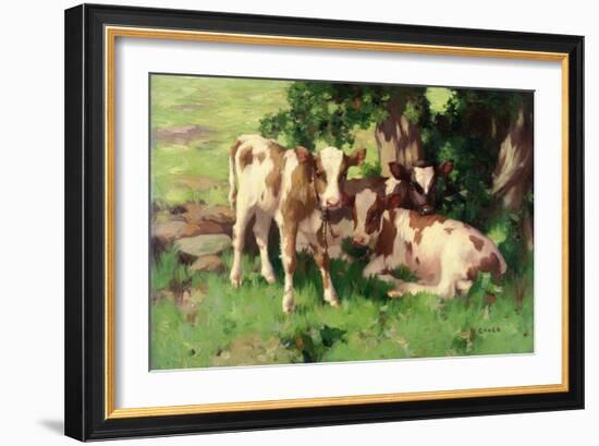 Three Calves in the Shade of a Tree-David Gauld-Framed Giclee Print