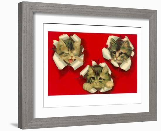 Three Cats Poking Through Paper-null-Framed Art Print