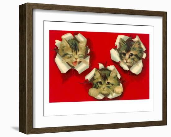 Three Cats Poking Through Paper-null-Framed Art Print