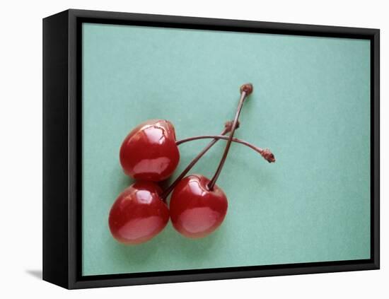 Three Cherries on a Green Background-Karen M^ Romanko-Framed Premier Image Canvas