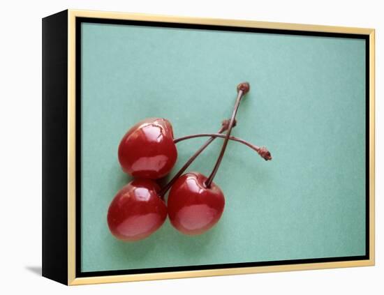 Three Cherries on a Green Background-Karen M^ Romanko-Framed Premier Image Canvas