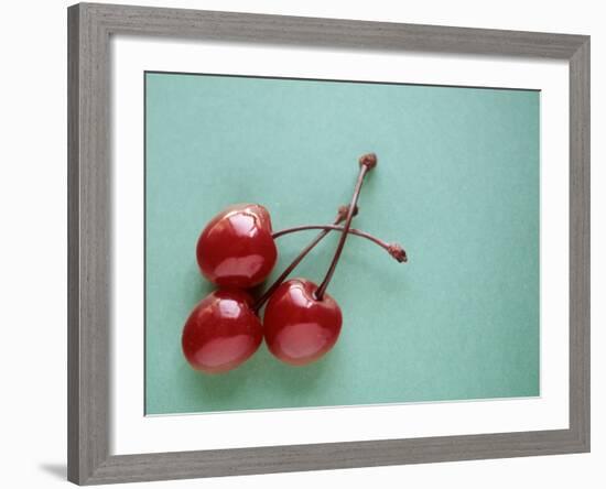 Three Cherries on a Green Background-Karen M^ Romanko-Framed Photographic Print