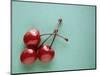 Three Cherries on a Green Background-Karen M^ Romanko-Mounted Photographic Print