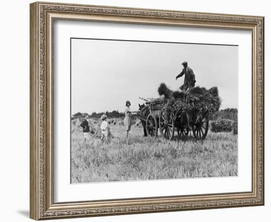 Three Children Helping Their Farmer Father to Bring in the Hay by Horse and Cart-Staniland Pugh-Framed Photographic Print