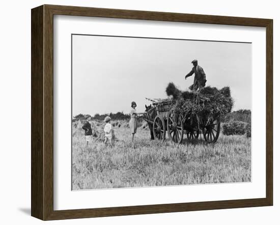 Three Children Helping Their Farmer Father to Bring in the Hay by Horse and Cart-Staniland Pugh-Framed Photographic Print