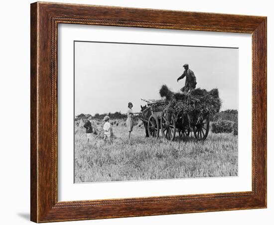 Three Children Helping Their Farmer Father to Bring in the Hay by Horse and Cart-Staniland Pugh-Framed Photographic Print