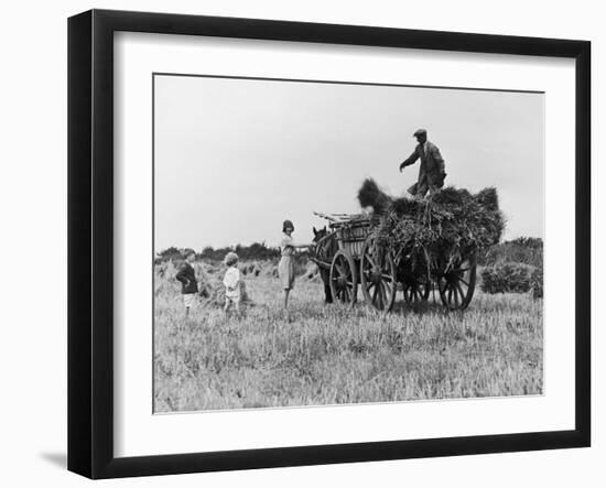 Three Children Helping Their Farmer Father to Bring in the Hay by Horse and Cart-Staniland Pugh-Framed Photographic Print