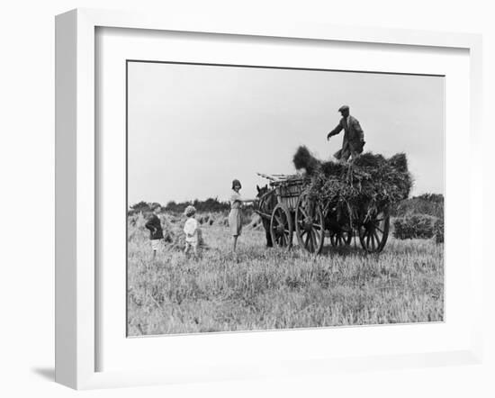 Three Children Helping Their Farmer Father to Bring in the Hay by Horse and Cart-Staniland Pugh-Framed Photographic Print