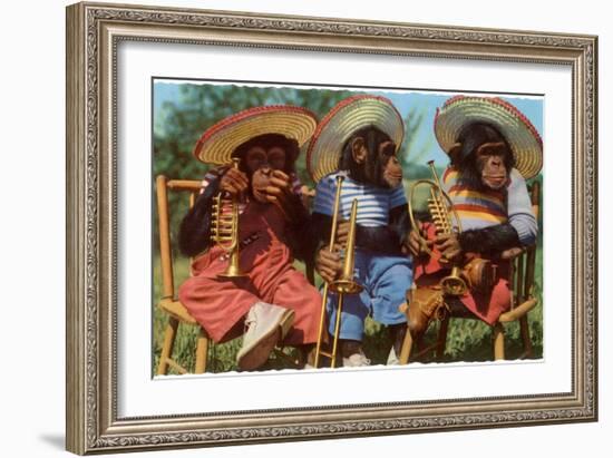 Three Chimpanzees with Brass Instruments and Hats-null-Framed Art Print