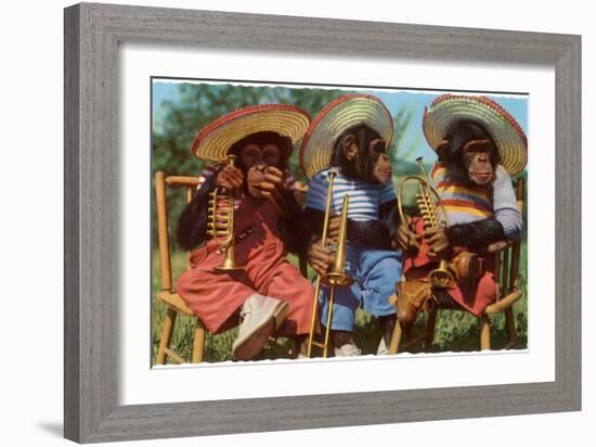 Three Chimpanzees with Brass Instruments and Hats-null-Framed Art Print