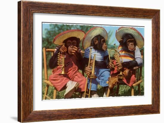 Three Chimpanzees with Brass Instruments and Hats-null-Framed Art Print