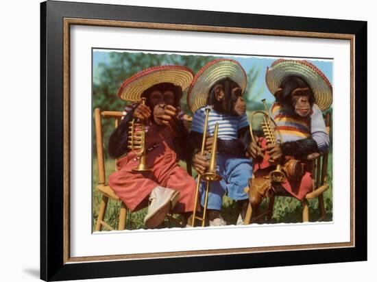 Three Chimpanzees with Brass Instruments and Hats-null-Framed Art Print