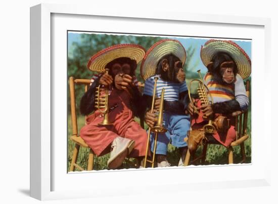 Three Chimpanzees with Brass Instruments and Hats-null-Framed Art Print