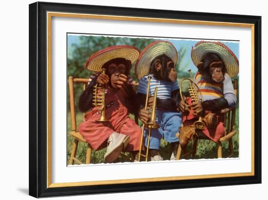 Three Chimpanzees with Brass Instruments and Hats-null-Framed Art Print