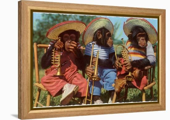 Three Chimpanzees with Brass Instruments and Hats-null-Framed Stretched Canvas