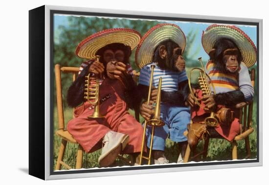 Three Chimpanzees with Brass Instruments and Hats-null-Framed Stretched Canvas