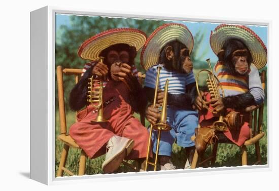 Three Chimpanzees with Brass Instruments and Hats-null-Framed Stretched Canvas