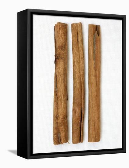 Three Cinnamon Sticks-Frank Tschakert-Framed Premier Image Canvas